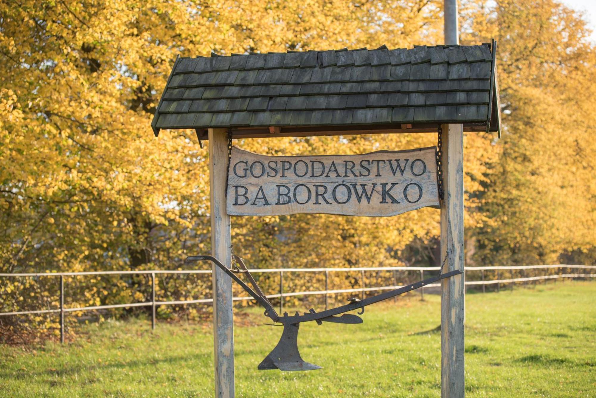 Palac Baborowko Szamotuły Eksteriør bilde